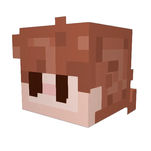 Orangeskittles44 Minecraft avatar head, 3D render