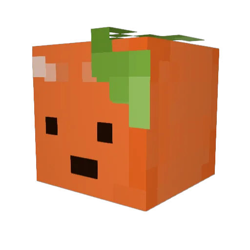 OrangexTimes Minecraft avatar head, 3D render