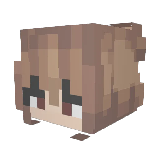 OrangeyBug Minecraft avatar head, 3D render