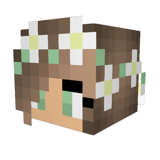 Orbatefraim Minecraft avatar head, 3D render