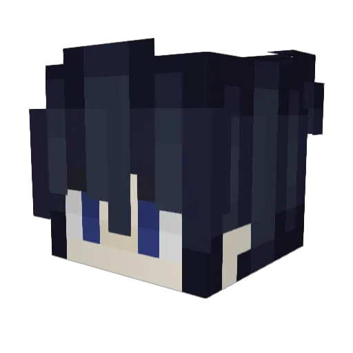 Orca2505 Minecraft avatar head, 3D render