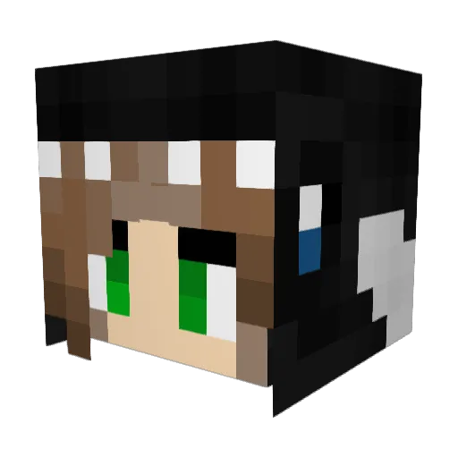 Orca264 Minecraft avatar head, 3D render
