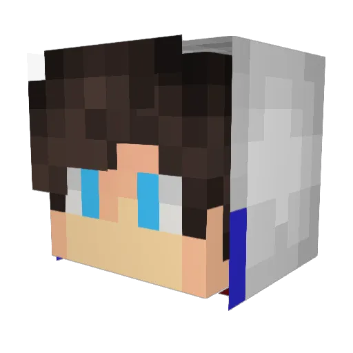 OrcaAomi Minecraft avatar head, 3D render