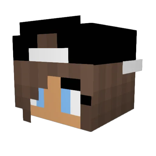OrcaSushi999 Minecraft avatar head, 3D render