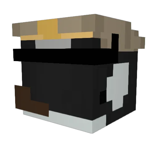 Orca_Pod9o9 Minecraft avatar head, 3D render
