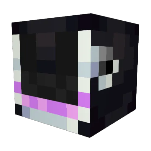 Orca_lover Minecraft avatar head, 3D render