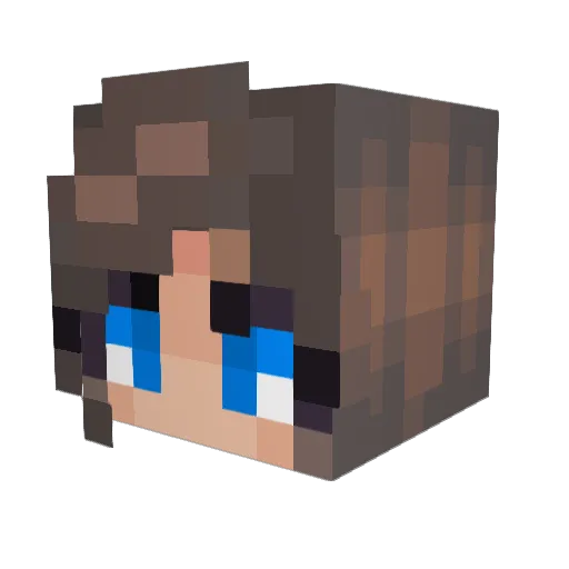 Orchestra33 Minecraft avatar head, 3D render