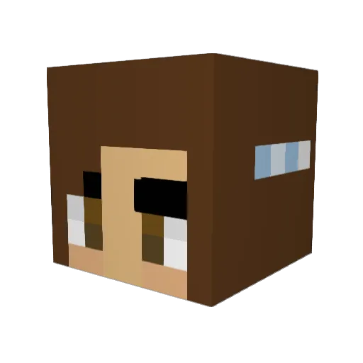 Orchid_Cat Minecraft avatar head, 3D render