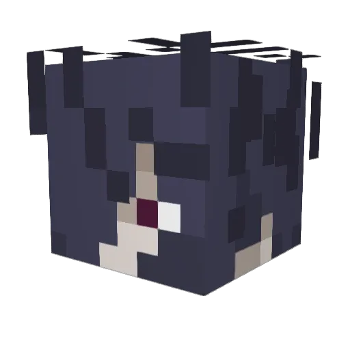 OrderBoi Minecraft avatar head, 3D render