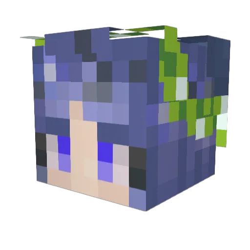 OrderOfLunar Minecraft avatar head, 3D render