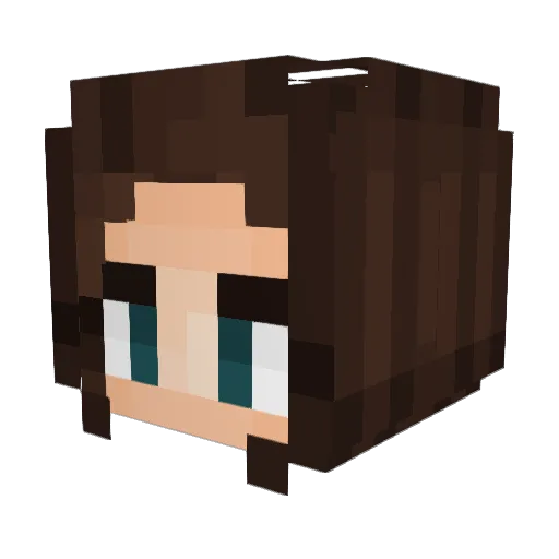 OrdinaryCat13 Minecraft avatar head, 3D render