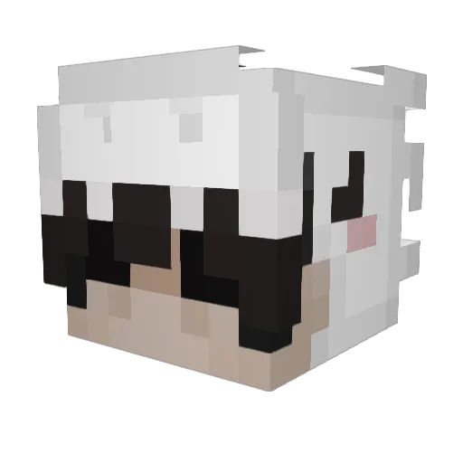 OrdinaryJoe4921 Minecraft avatar head, 3D render