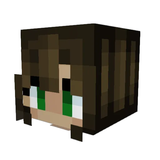 OrdinaryLuxus Minecraft avatar head, 3D render