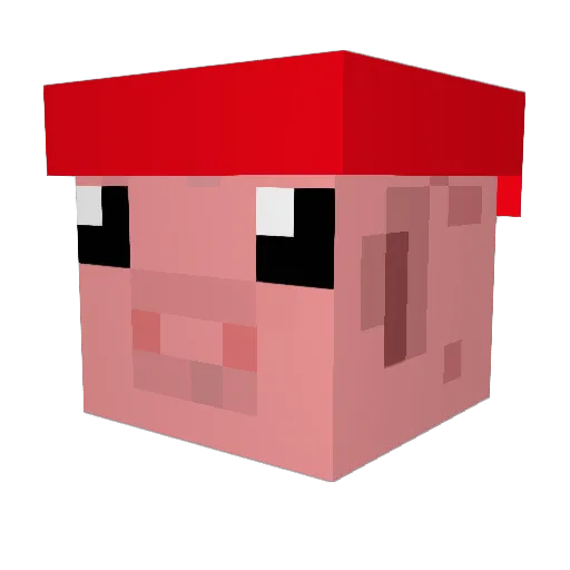 OrdinarySpider Minecraft avatar head, 3D render