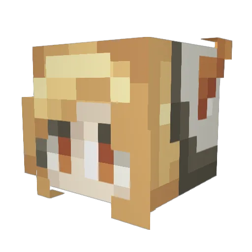 Ordo_Militarum Minecraft avatar head, 3D render