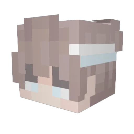 Oregahno Minecraft avatar head, 3D render