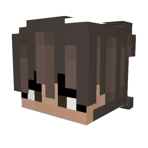Oregon1478 Minecraft avatar head, 3D render