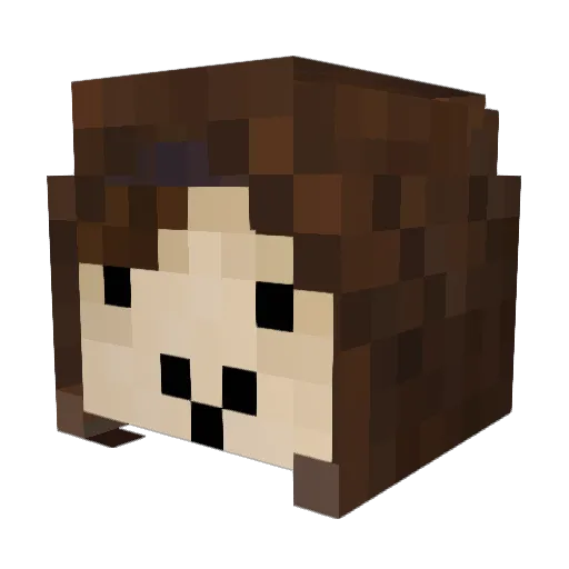 Orelu Minecraft avatar head, 3D render