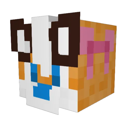 Oreminer816 Minecraft avatar head, 3D render