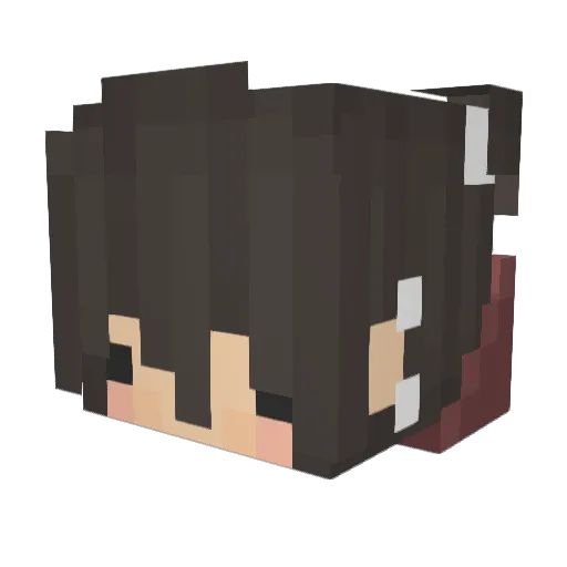 Orengee Minecraft avatar head, 3D render