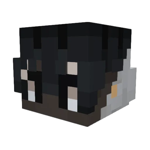 Oreocookiez Minecraft avatar head, 3D render