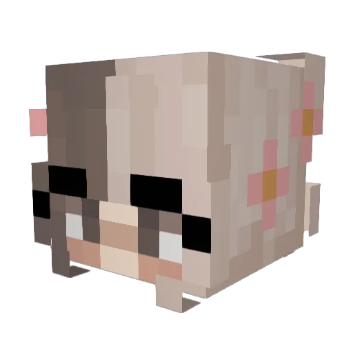OrganicTrashman Minecraft avatar head, 3D render