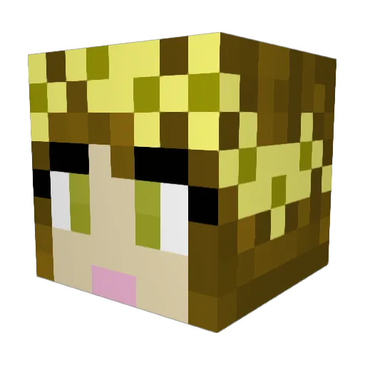 Organicy Minecraft avatar head, 3D render