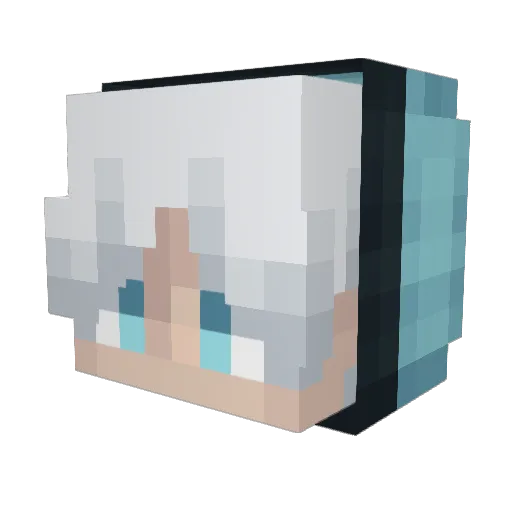 Orginization123 Minecraft avatar head, 3D render