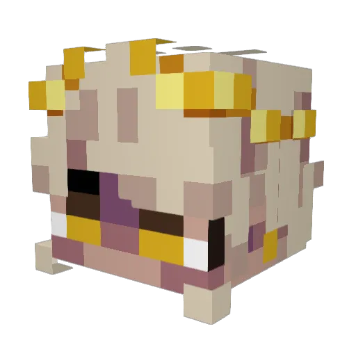 Orhanbabathepro Minecraft avatar head, 3D render