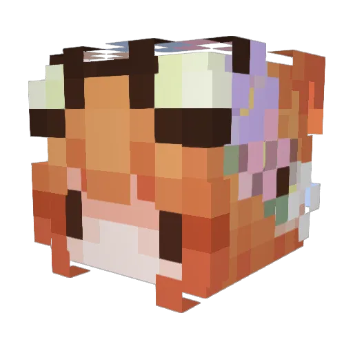Ori1123 Minecraft avatar head, 3D render