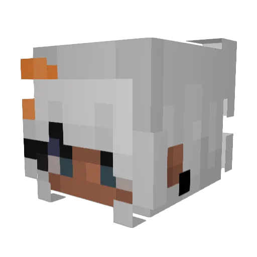 OriGinal_Baby5 Minecraft avatar head, 3D render