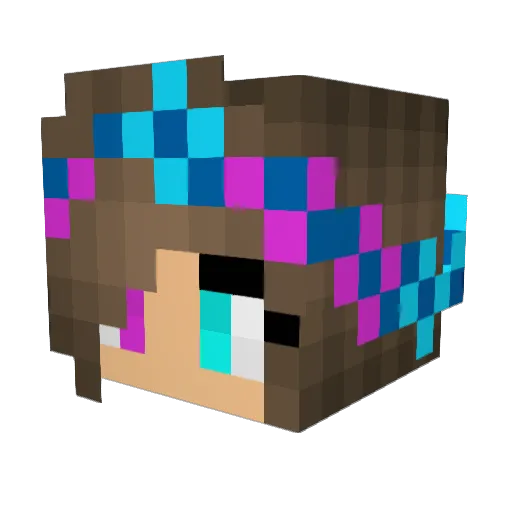 Oribr21 Minecraft avatar head, 3D render