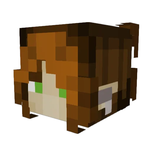 Oricid Minecraft avatar head, 3D render