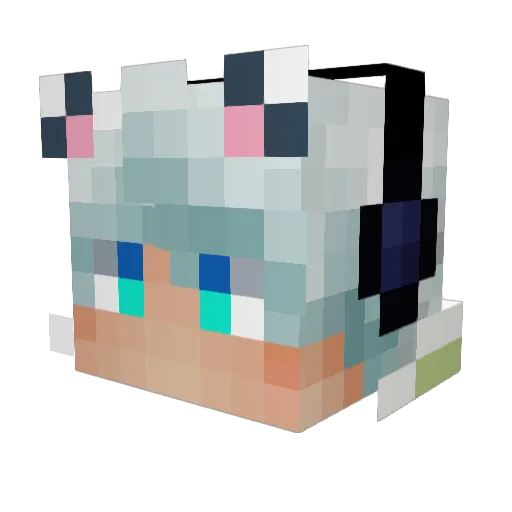 Orientalpardus Minecraft avatar head, 3D render