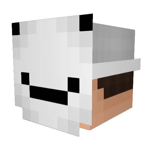 OriginalEiiiss Minecraft avatar head, 3D render
