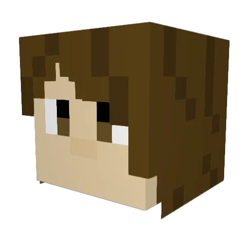 OriginalNootNoot Minecraft avatar head, 3D render