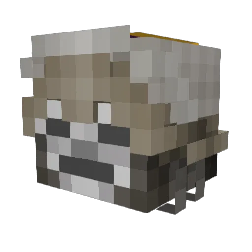Original_Tod Minecraft avatar head, 3D render