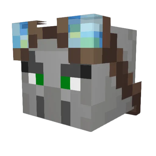Orion_2010 Minecraft avatar head, 3D render