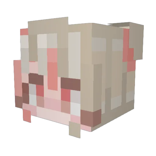 Orleena Minecraft avatar head, 3D render