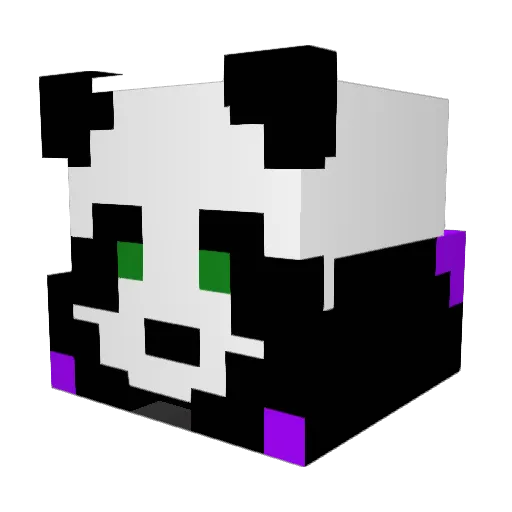 OrnateGarra123 Minecraft avatar head, 3D render