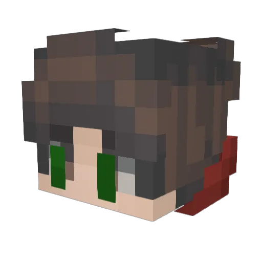 Ornithopter Minecraft avatar head, 3D render