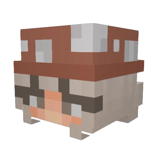 OrphanDealer336 Minecraft avatar head, 3D render
