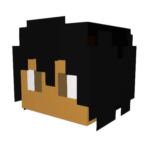 Orpheus27 Minecraft avatar head, 3D render