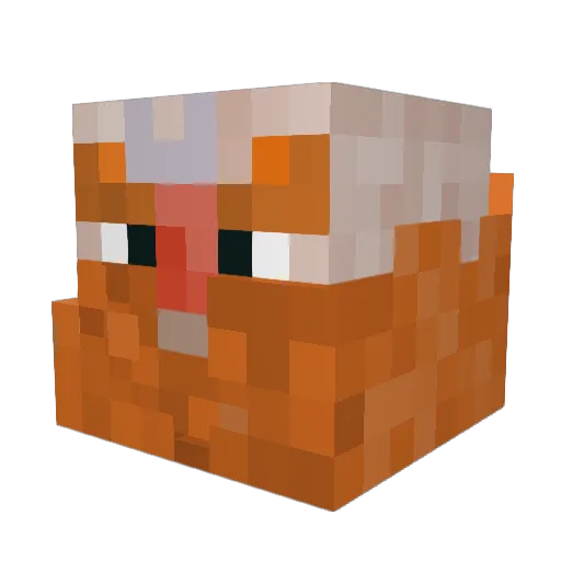 OrsoMiao07 Minecraft avatar head, 3D render