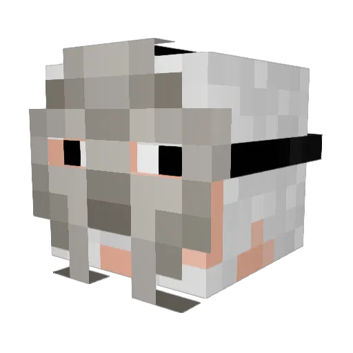 Orthn Minecraft avatar head, 3D render