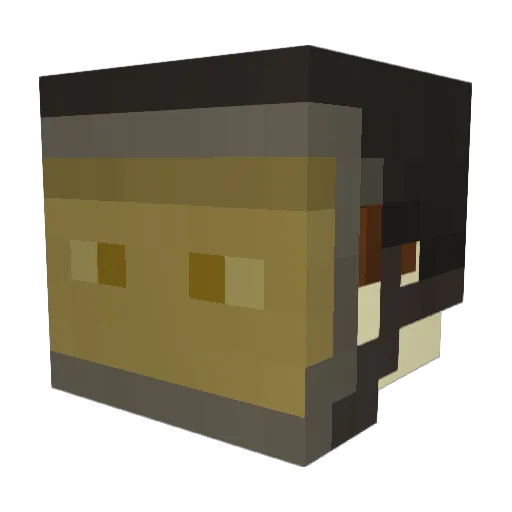 Ortoga Minecraft avatar head, 3D render