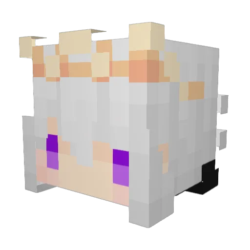 Oruu Minecraft avatar head, 3D render