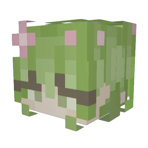 Orvacle Minecraft avatar head, 3D render