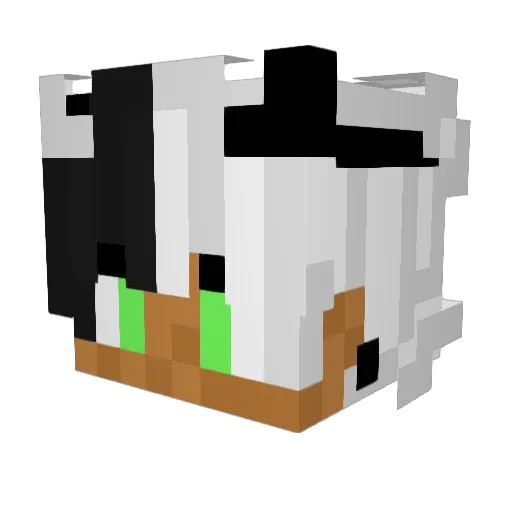Orweo Minecraft avatar head, 3D render