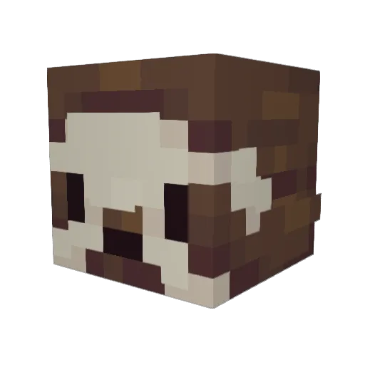 OsOPRZOsO Minecraft avatar head, 3D render